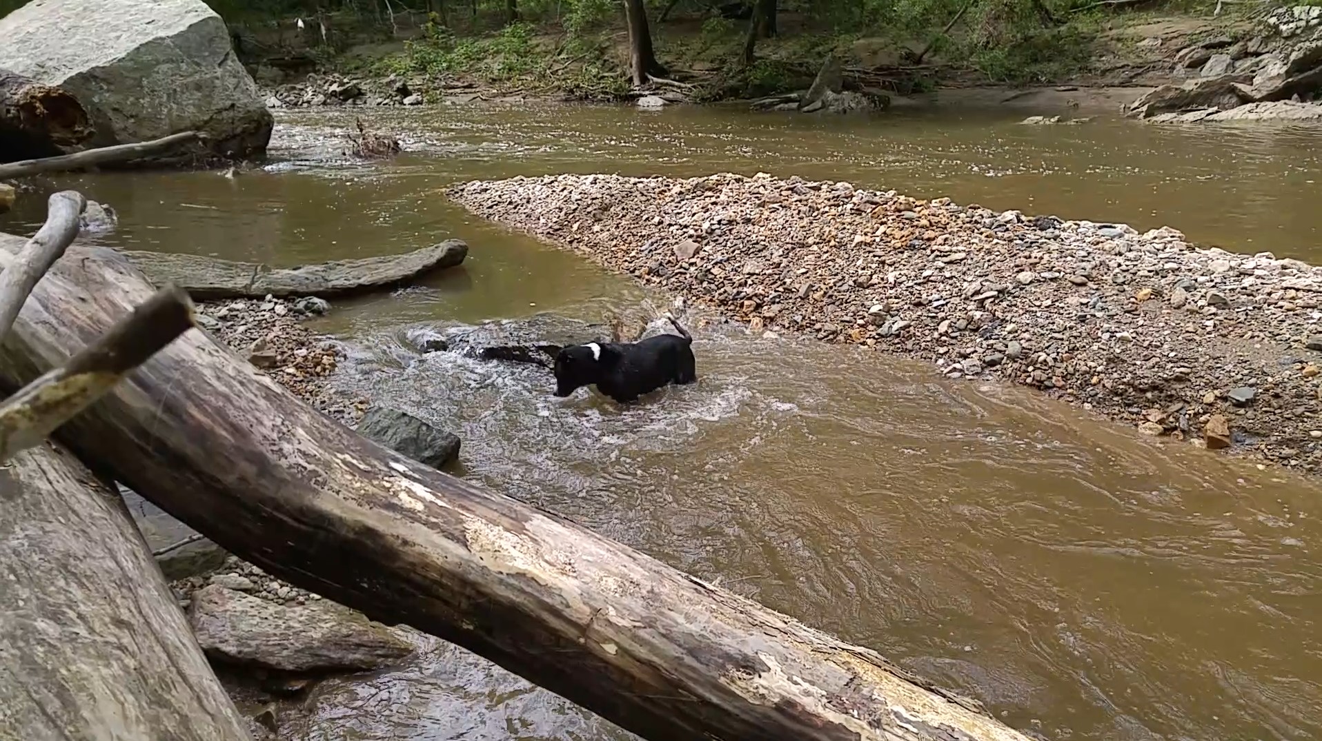 Splashing Around